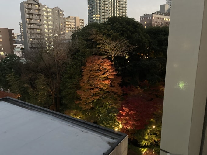シェラトン都ホテル東京の紅葉