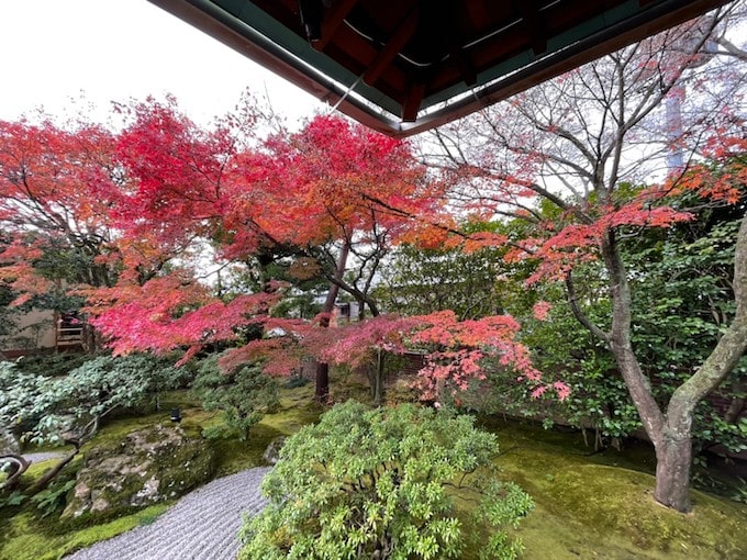 京都観光ラウンジのお庭